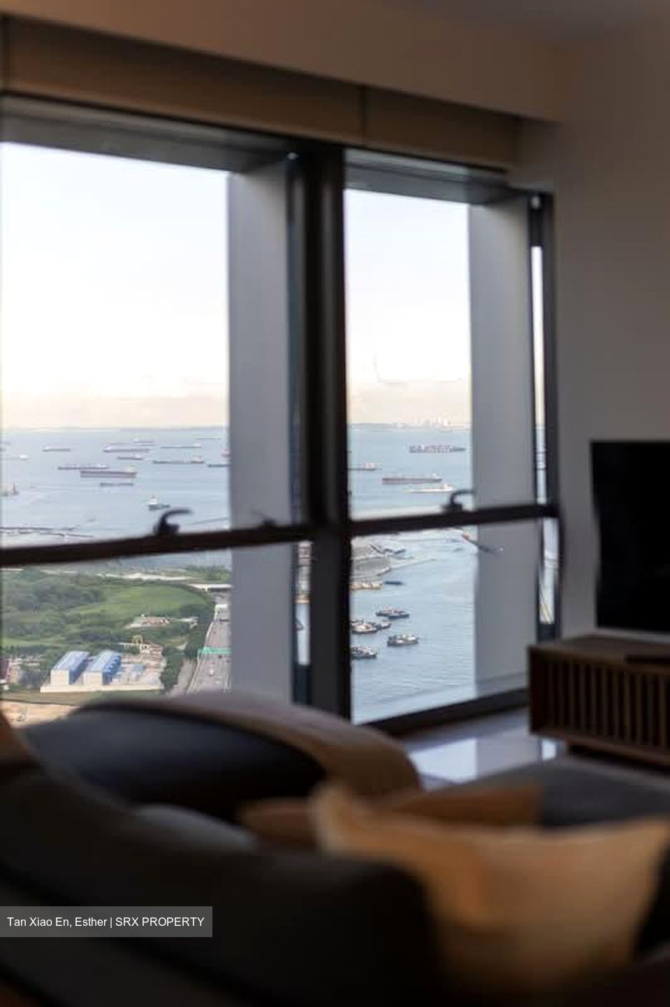 Wallich Residence  (D2), Condominium #558403451